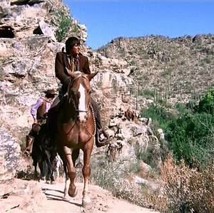 Meet your Posher, Catherine